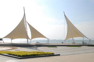 植物角观察记录表如何挂起来