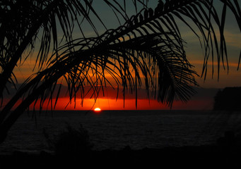 植物角观察记录表如何挂起来