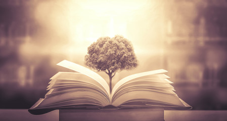 幼儿园大班中秋的活动方案