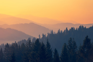 父亲六个手指会遗传给孩子么