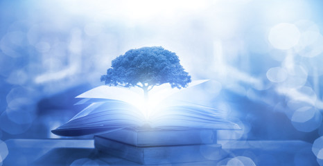 有没专门帮人贷款的人