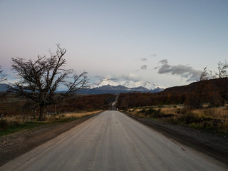 赵一曼的事迹简洁语言