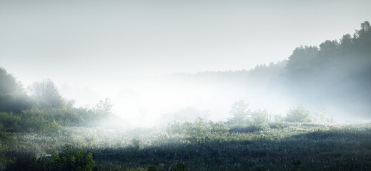 幼儿园大班中秋的活动方案