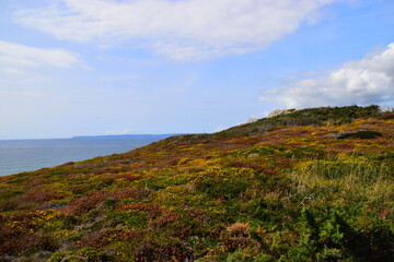 馒头在上供时碎了有什么说法吗？