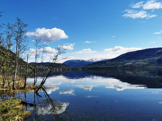 幼儿园大班中秋的活动方案