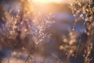 幼儿园大班中秋的活动方案