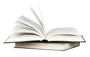 幼儿园大班中秋的活动方案