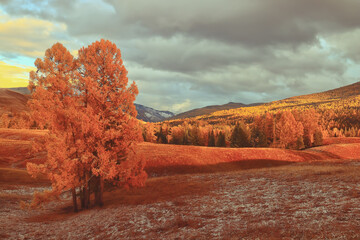 职场对外接待礼仪与注意事项有哪些