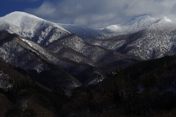 植物角观察记录表如何挂起来