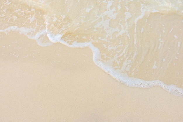 幼儿园大班中秋的活动方案