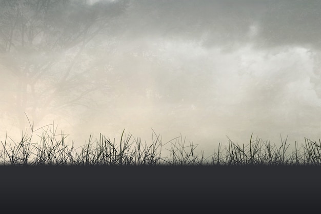 植物角观察记录表如何挂起来