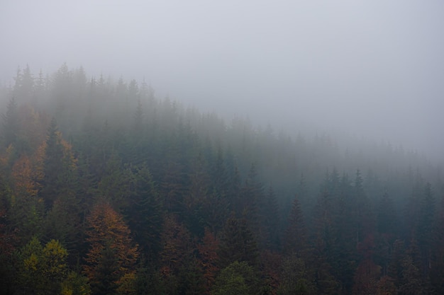 馒头在上供时碎了有什么说法吗？