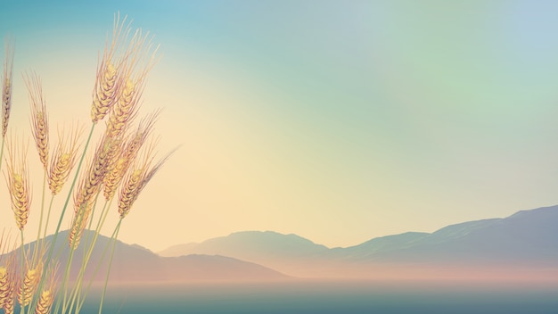 四个太阳幼儿园公开课教案