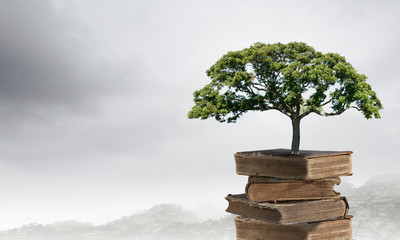 馒头在上供时碎了有什么说法吗？