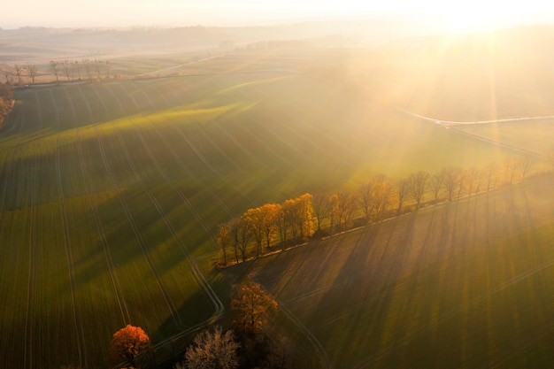 父亲六个手指会遗传给孩子么