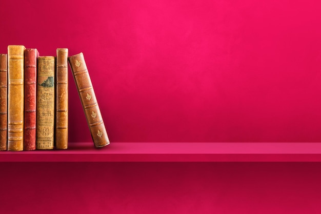 植物角观察记录表如何挂起来